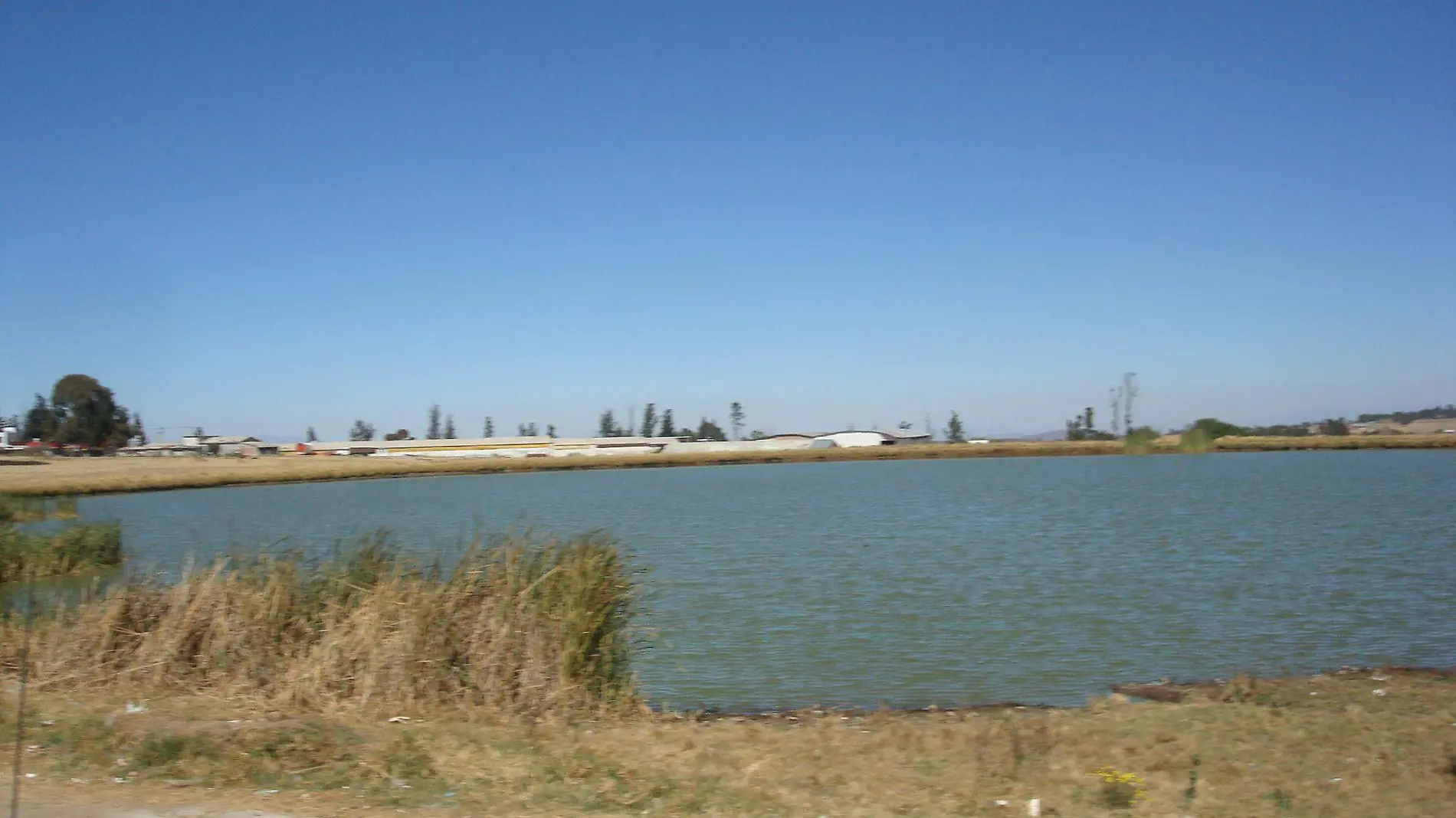 Aunque no hay peligro para la población, la coordinación de Protección Civil monitorea la captación de agua de los bordos.